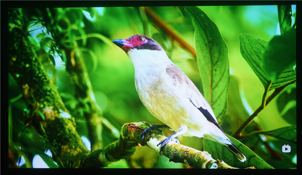 仪怎么选 亲测分享 这两款可闭眼入九游会网站2025年618卧室投影(图4)